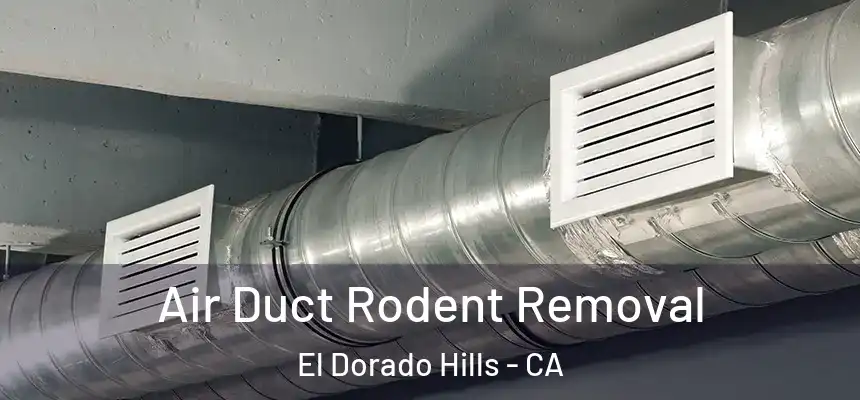 Air Duct Rodent Removal El Dorado Hills - CA