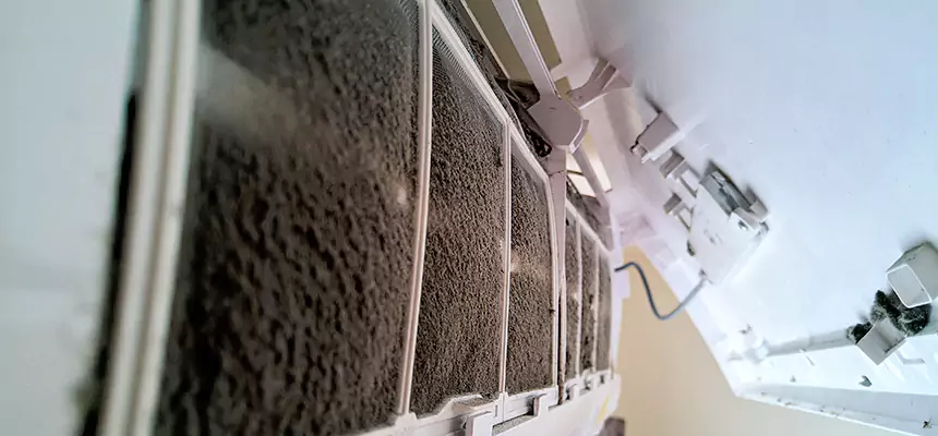 Preventive Air Duct Bacteria Removal in El Dorado Hills