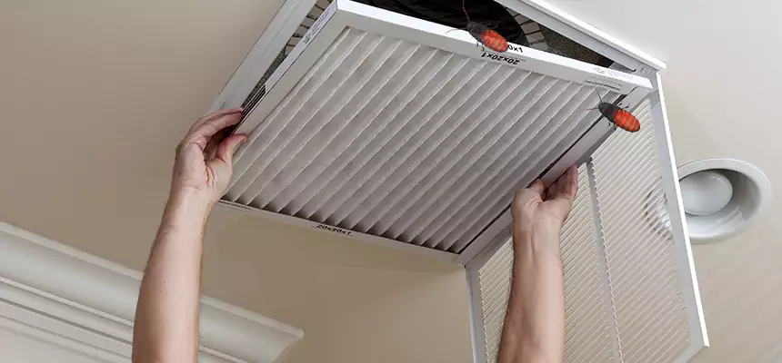 Preventive Cockroach-Proofing for Ducts in El Dorado Hills