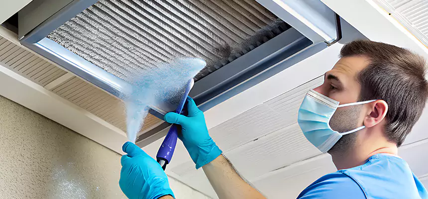 Proactive Dryer Vent & Auxiliary Duct Pollen Cleanup in El Dorado Hills, CA