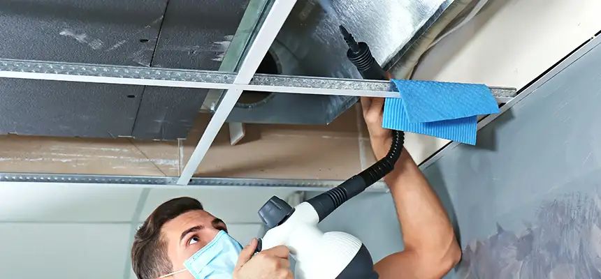Our Air Duct Rodent Removal Services in El Dorado Hills, CA