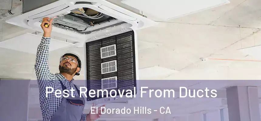 Pest Removal From Ducts El Dorado Hills - CA