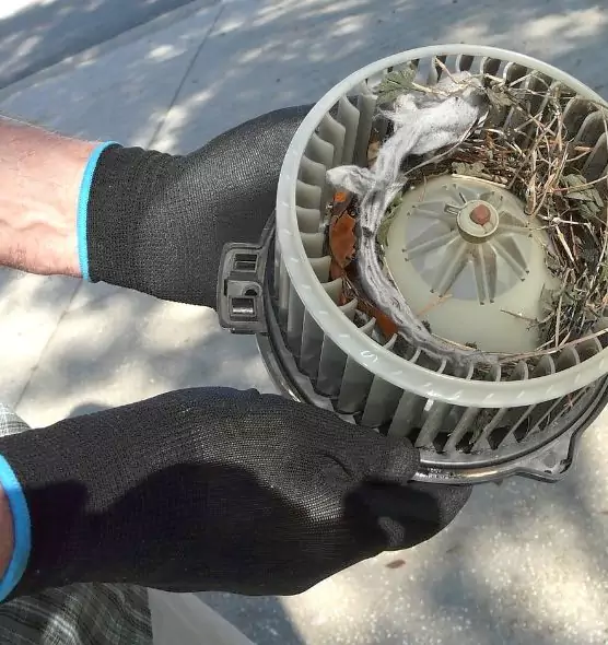 About Air Duct Rat Removal in El Dorado Hills, CA