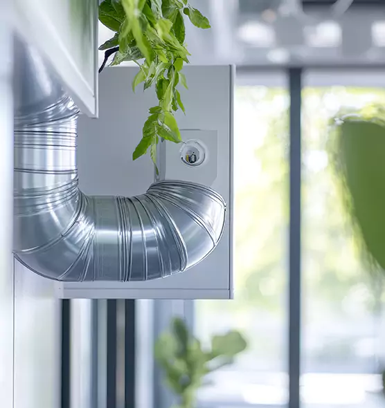 Professional Eco-Safe Dryer Vent Cleaning in El Dorado Hills, CA